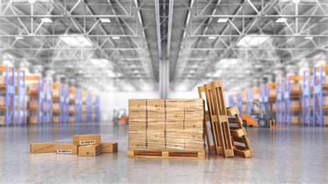 total pallet management|Navigating Pallet Management: Understanding the Differences .